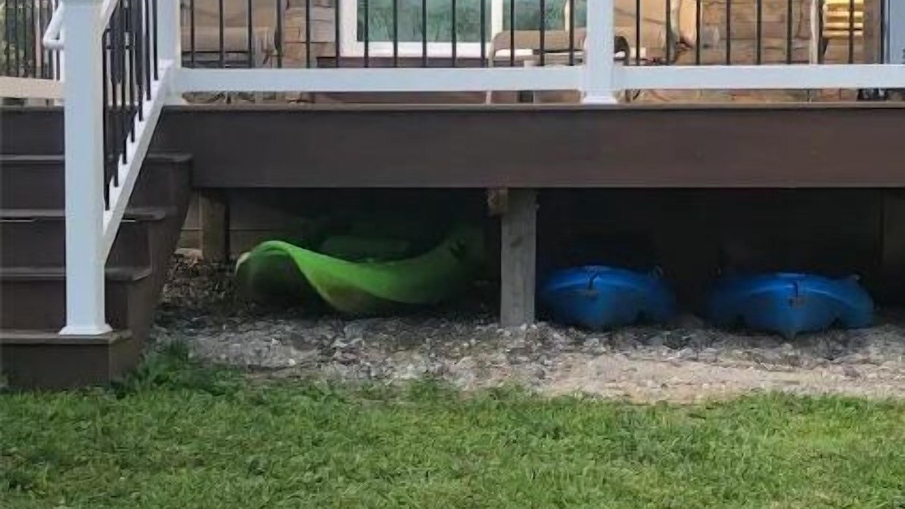 Photo of Patio Balcony in Gouverneur
