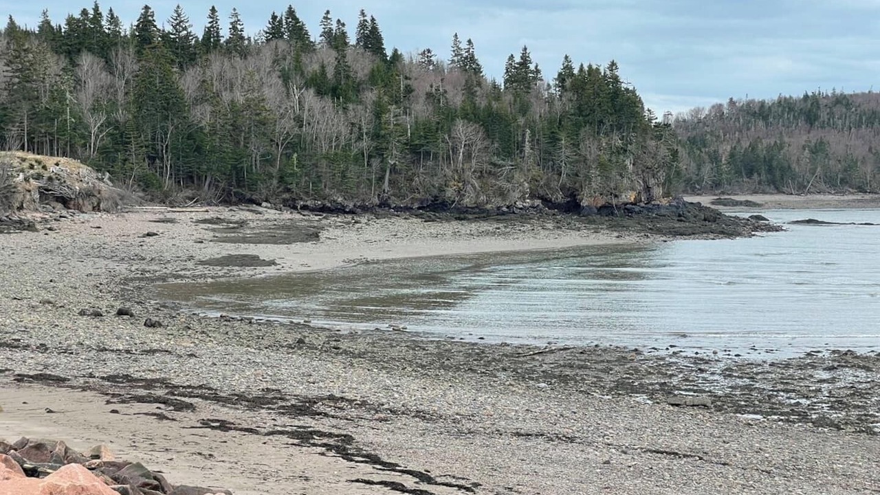 Photo of Others in Blacks Harbour