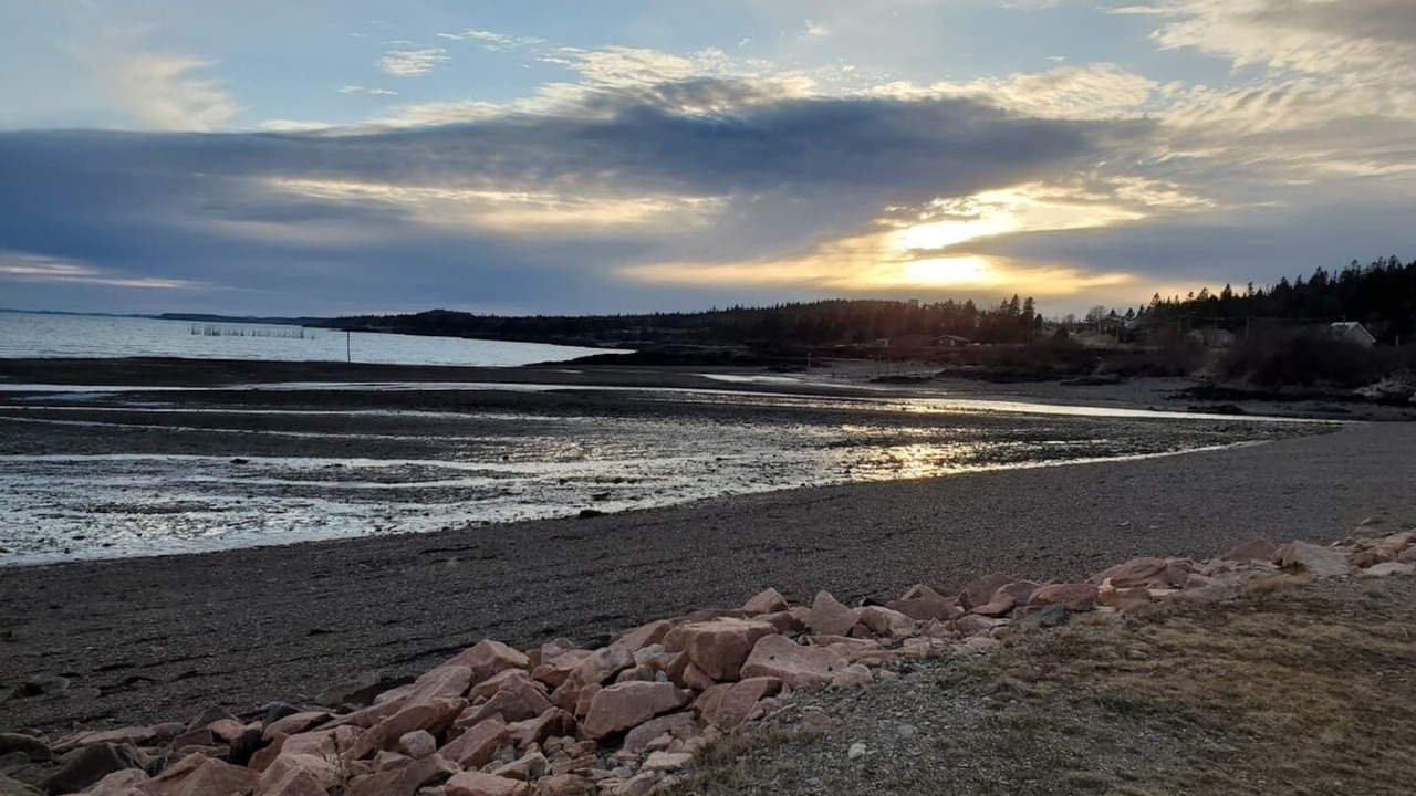 Photo of Others in Blacks Harbour