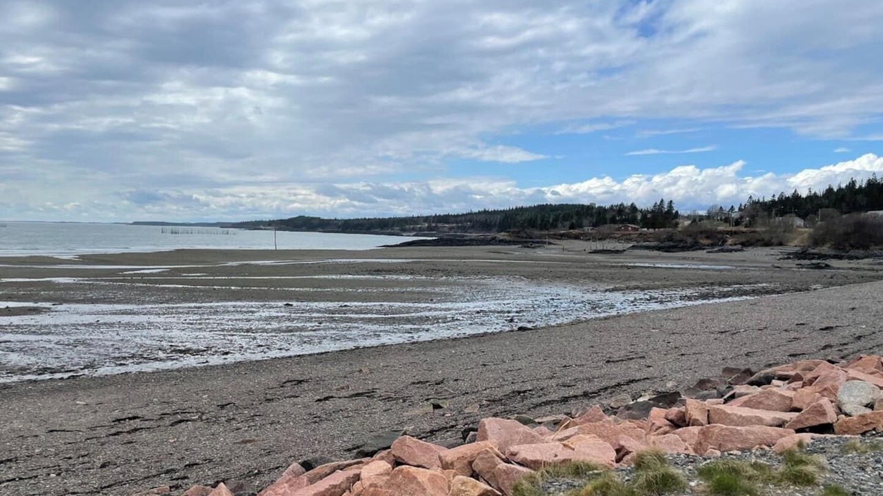 Photo of Others in Blacks Harbour