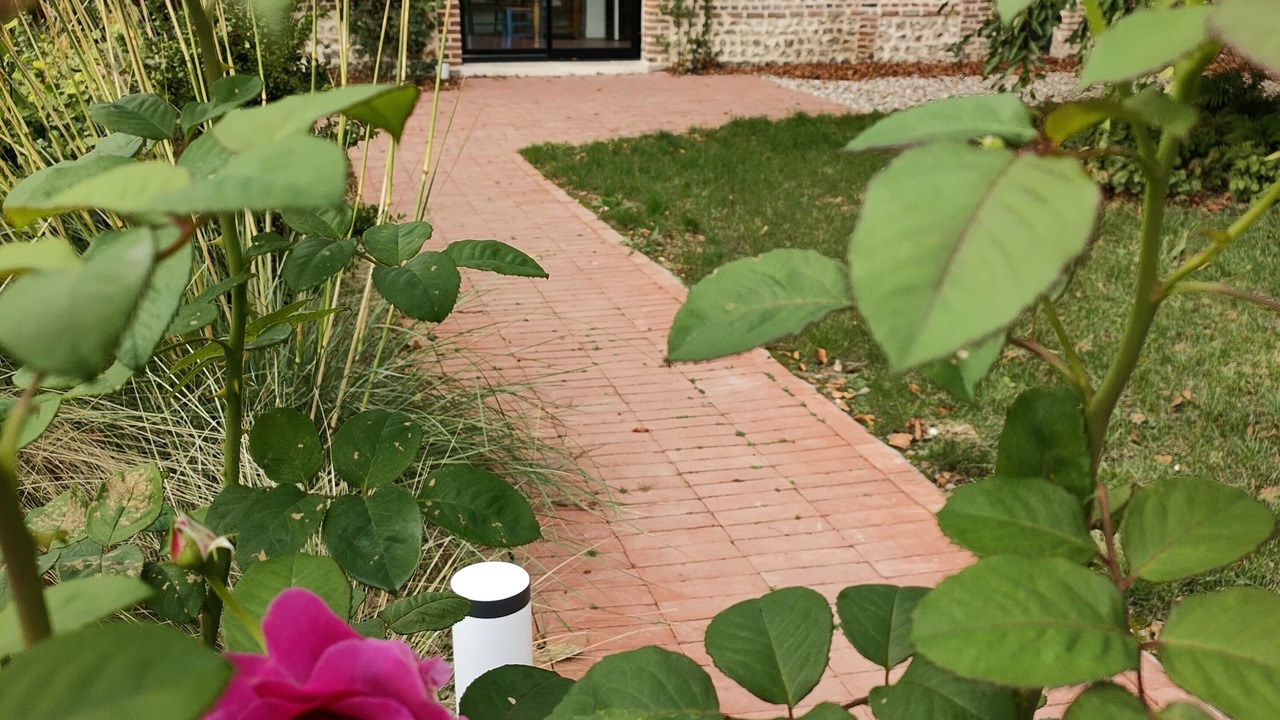 Photo of Outdoor in Benarville