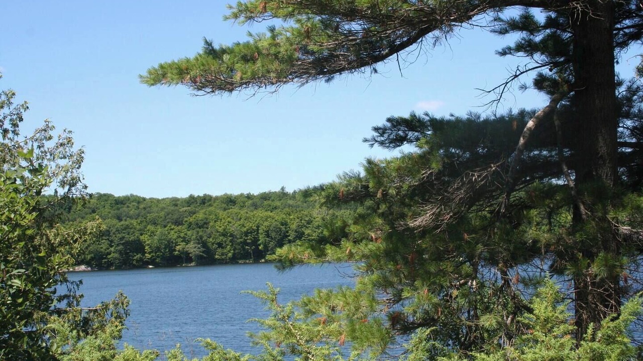 Photo of Others in Frontenac