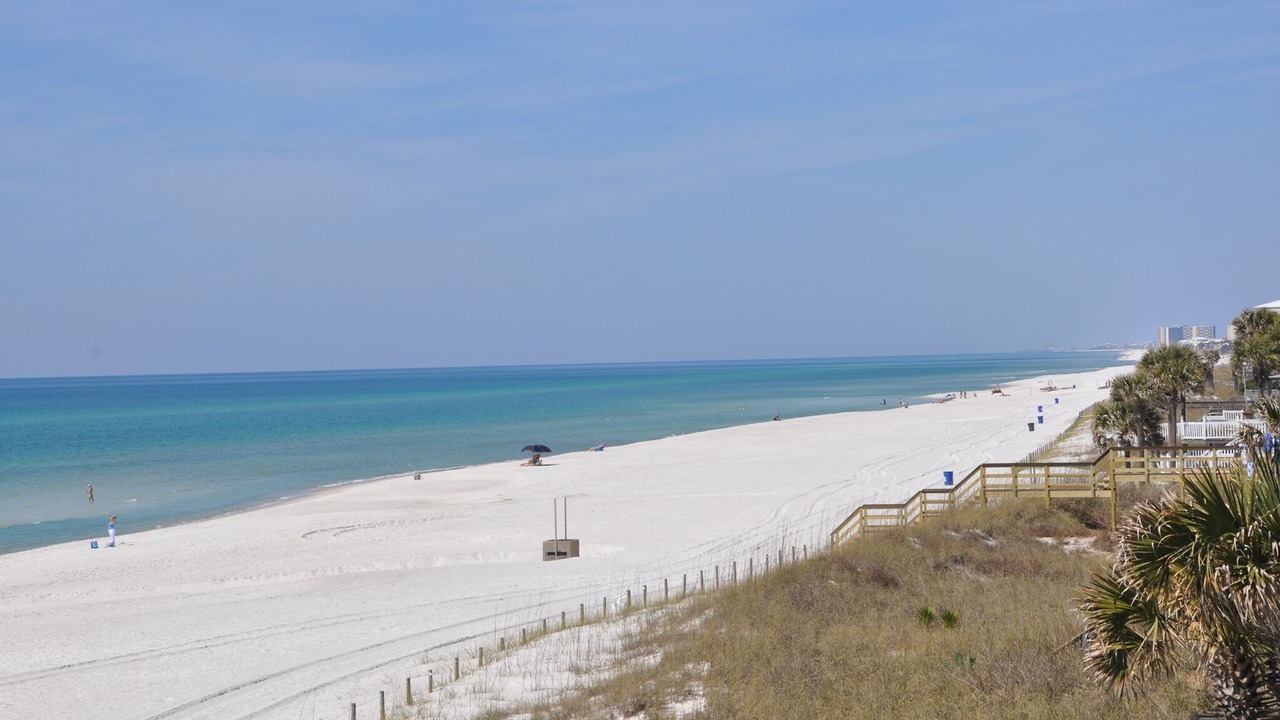 Photo of Others in Kiska Beach
