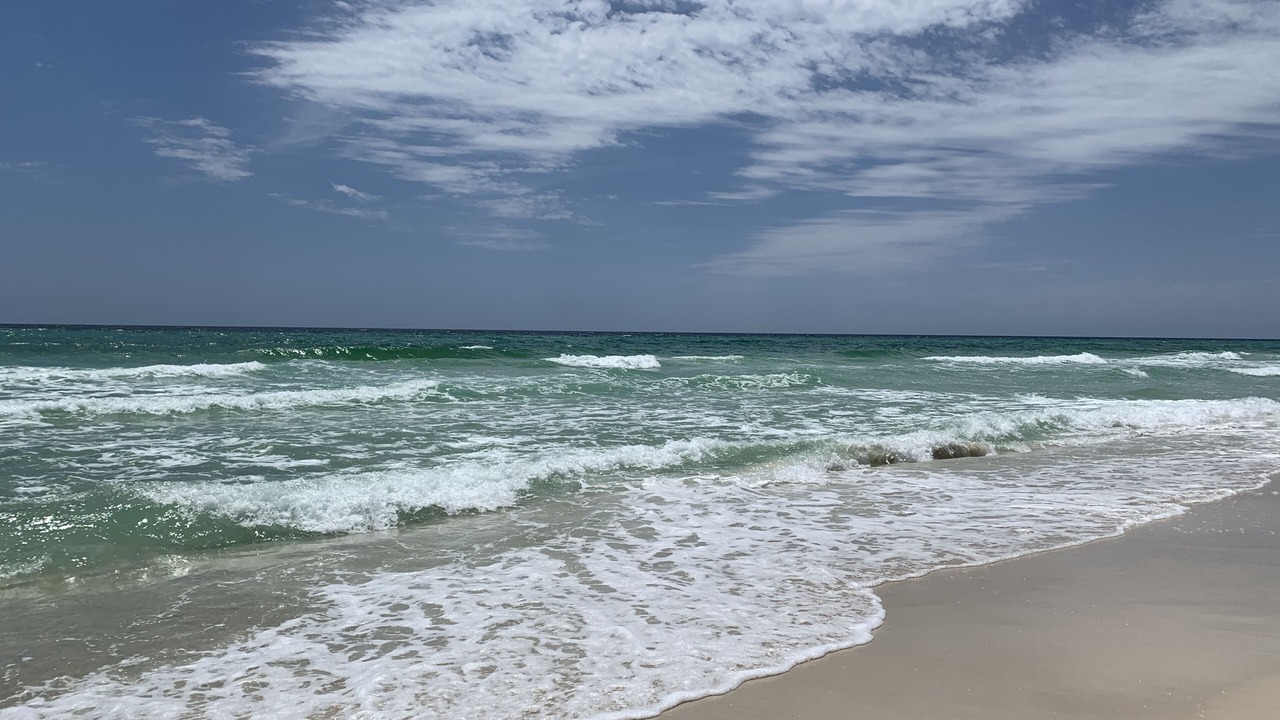 Photo of Others in Kiska Beach