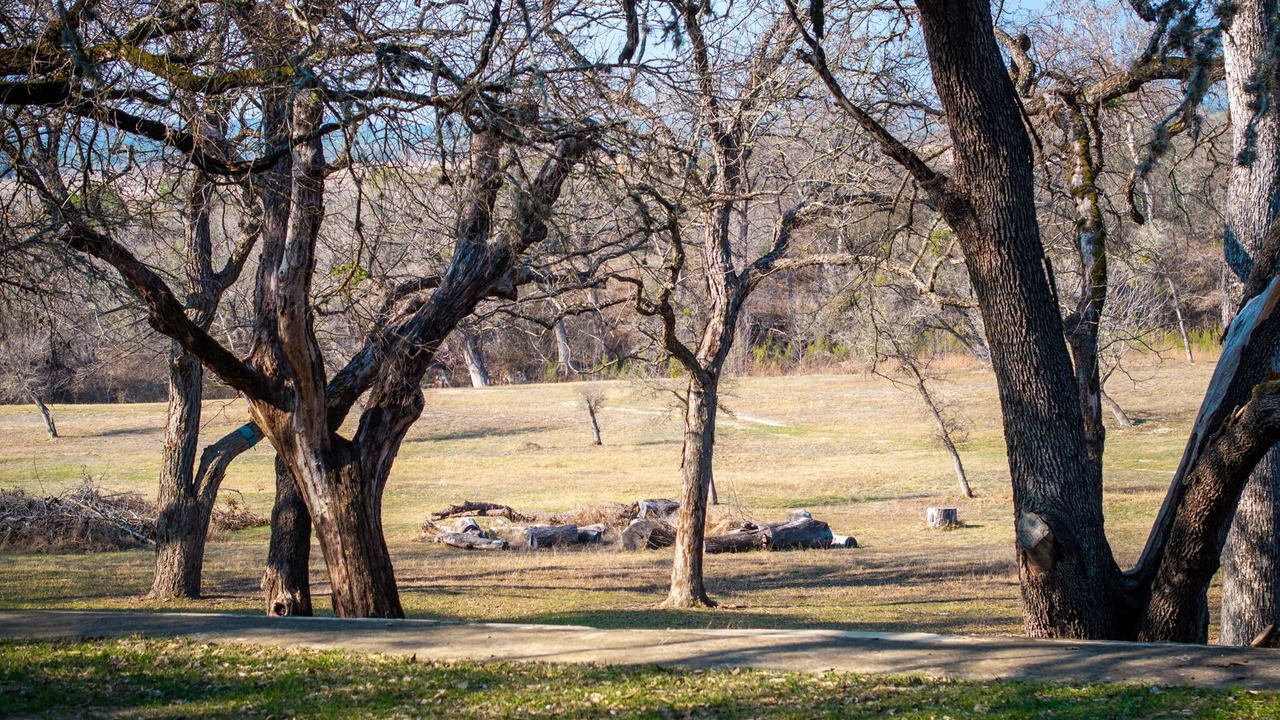 Photo of Others in Kyle