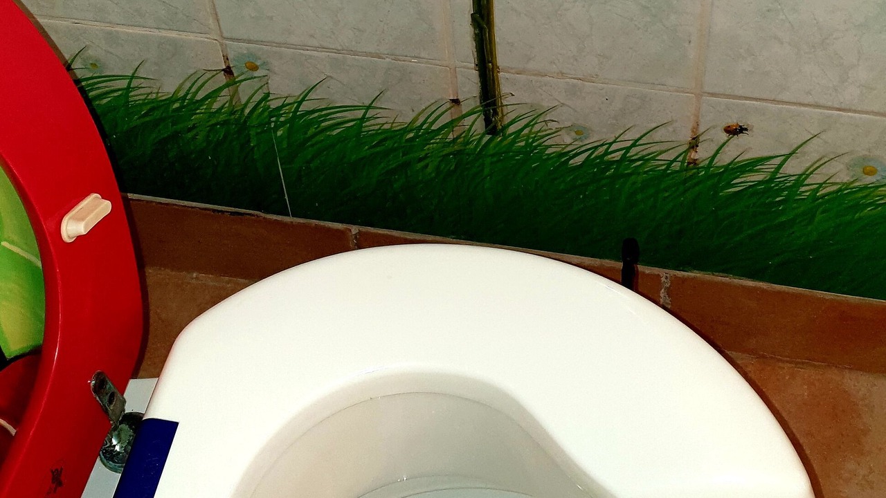 Photo of Bathroom in La Chapelle-sur-Loire