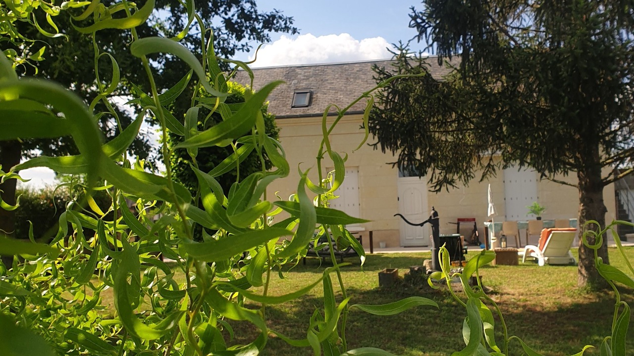 Photo of Outdoor in La Chapelle-sur-Loire