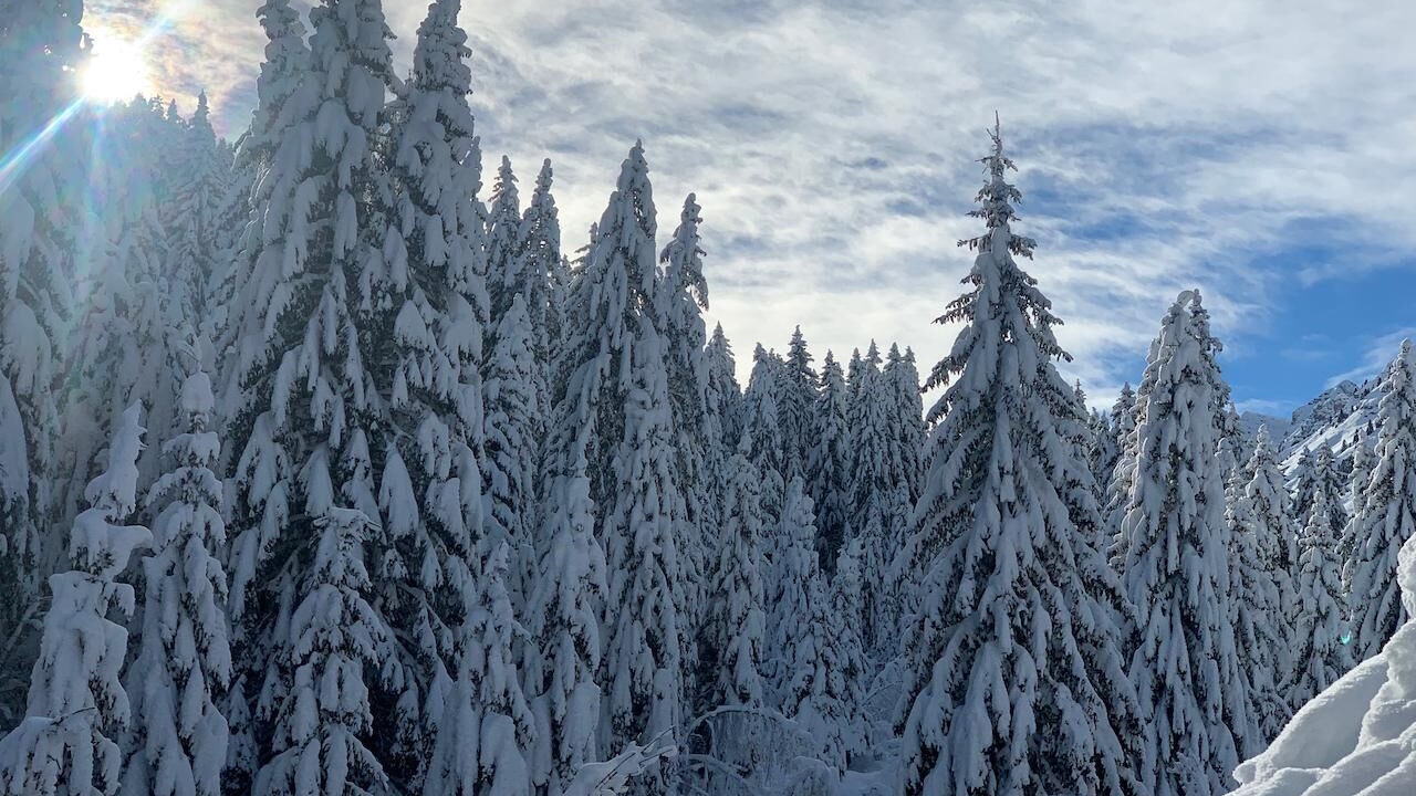 Photo of Others in Morgins