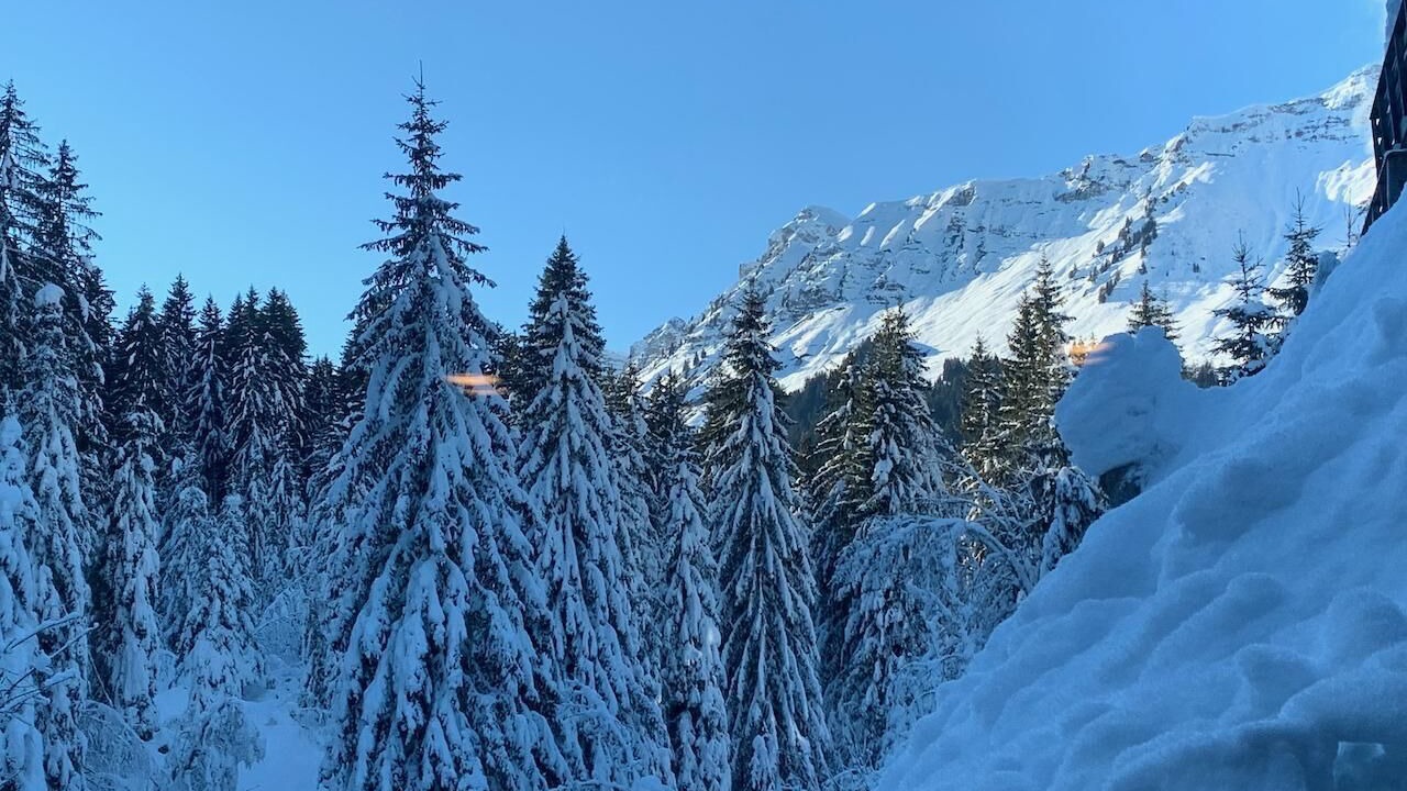 Photo of Others in Morgins