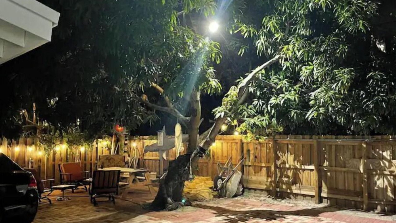 Photo of Patio Balcony in Lake Ridge