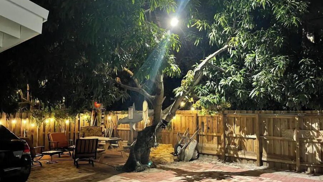 Photo of Patio Balcony in Lake Ridge