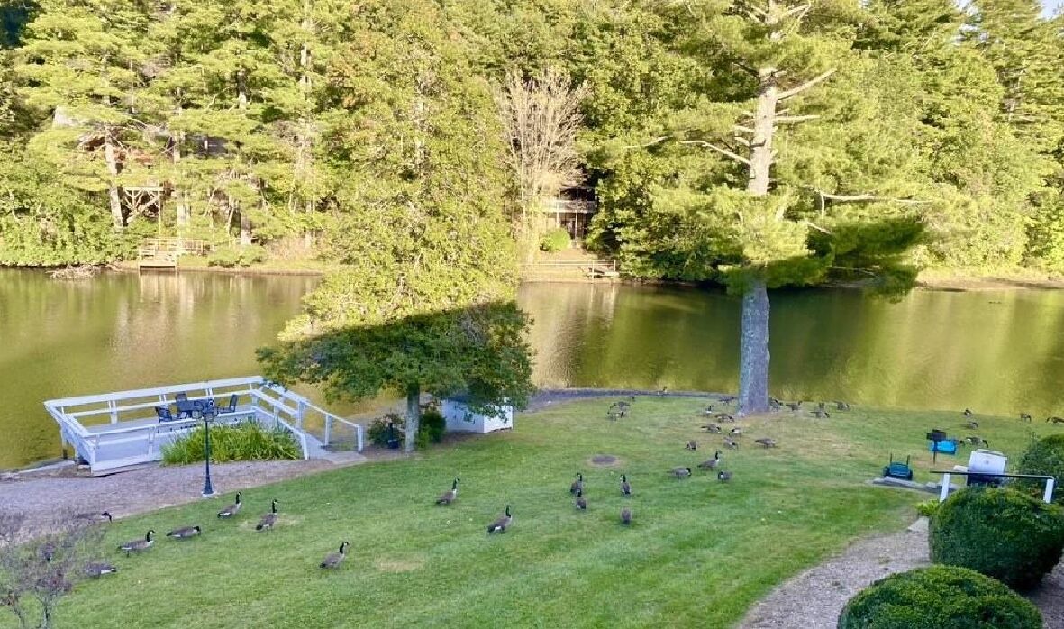 Photo of Outdoor in Flat Rock