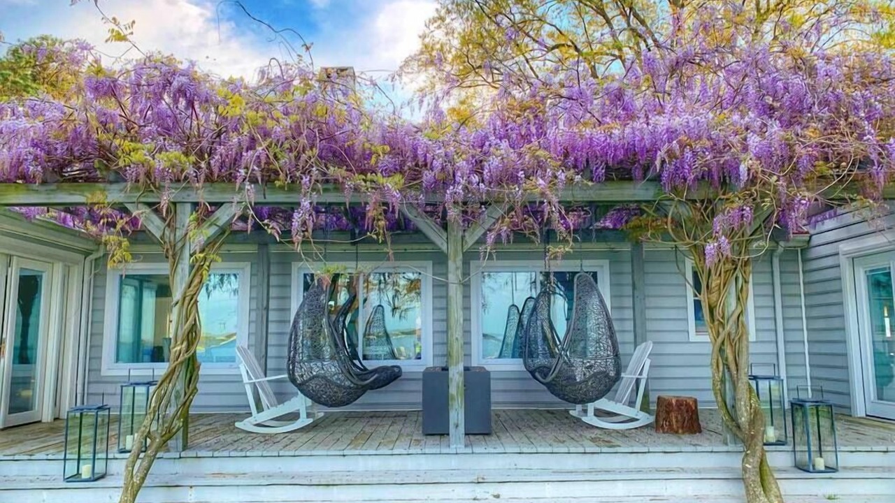 Photo of Patio Balcony in Neavitt