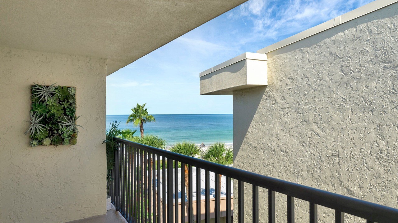 Photo of Outdoor in Belleair Beach