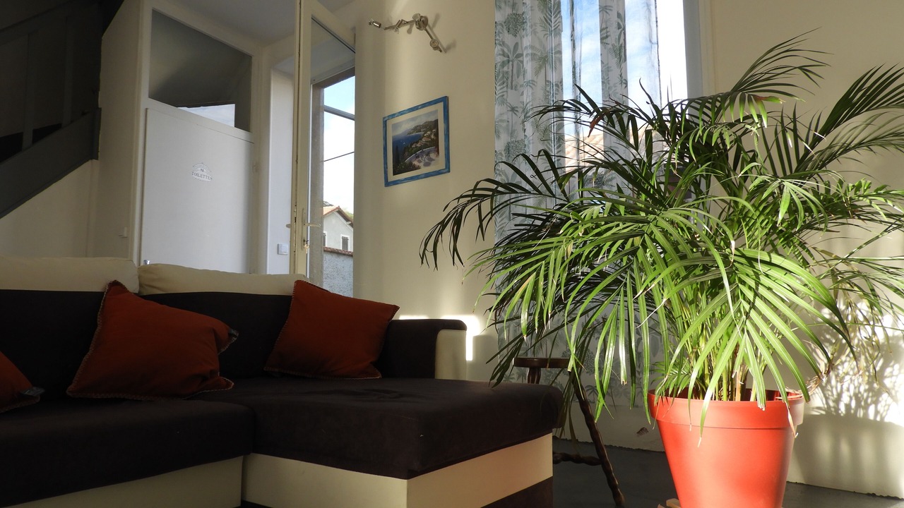 Photo of Others in Chanas