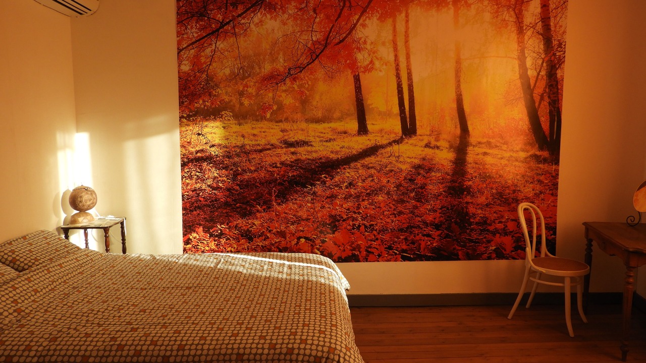 Photo of Bedroom in Chanas