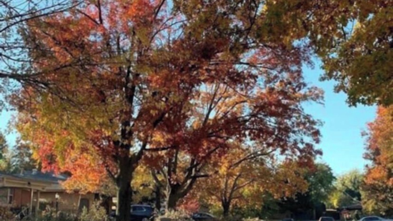 Photo of Others in Norman