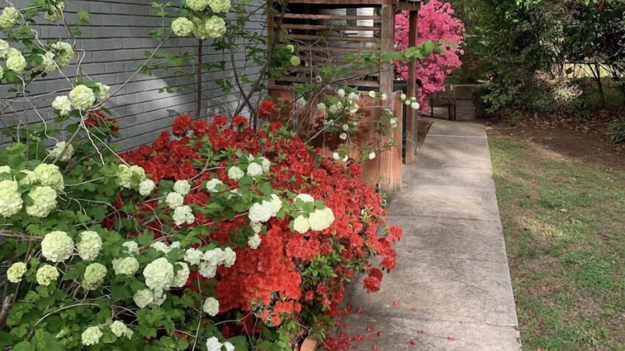 Photo of Outdoor in Norman