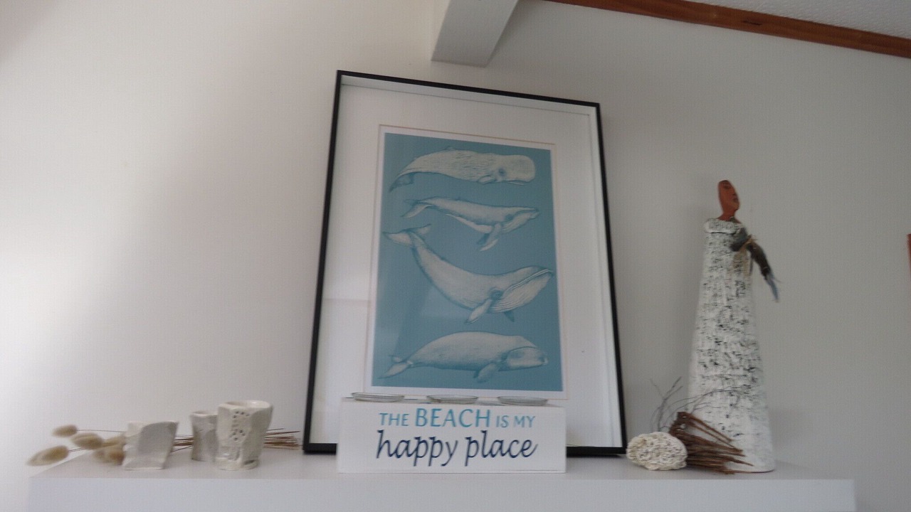 Photo of Others in Rangiputa