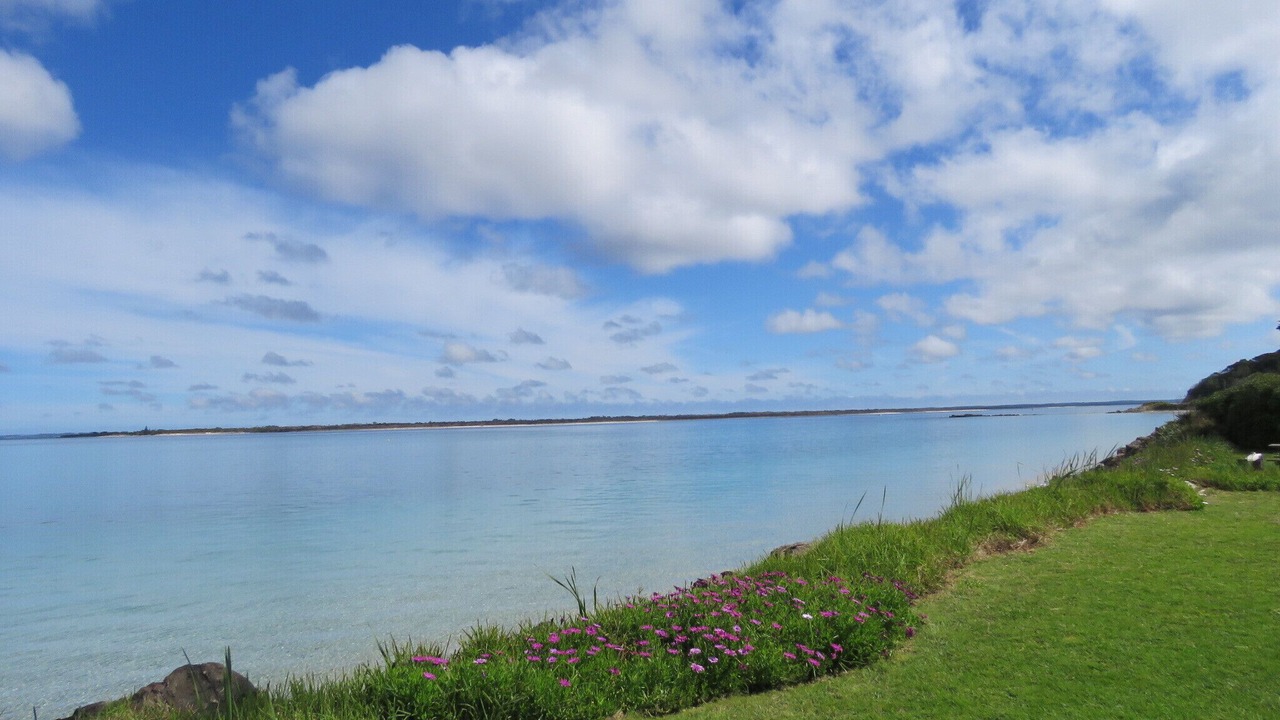 Photo of Others in Rangiputa