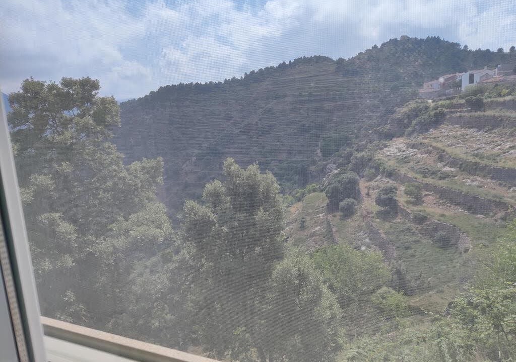 Photo of Others in Vistabella del Maestrat