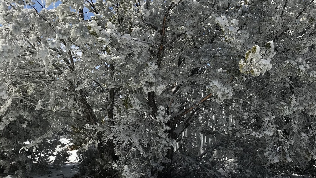 Photo of Outdoor in Whites City