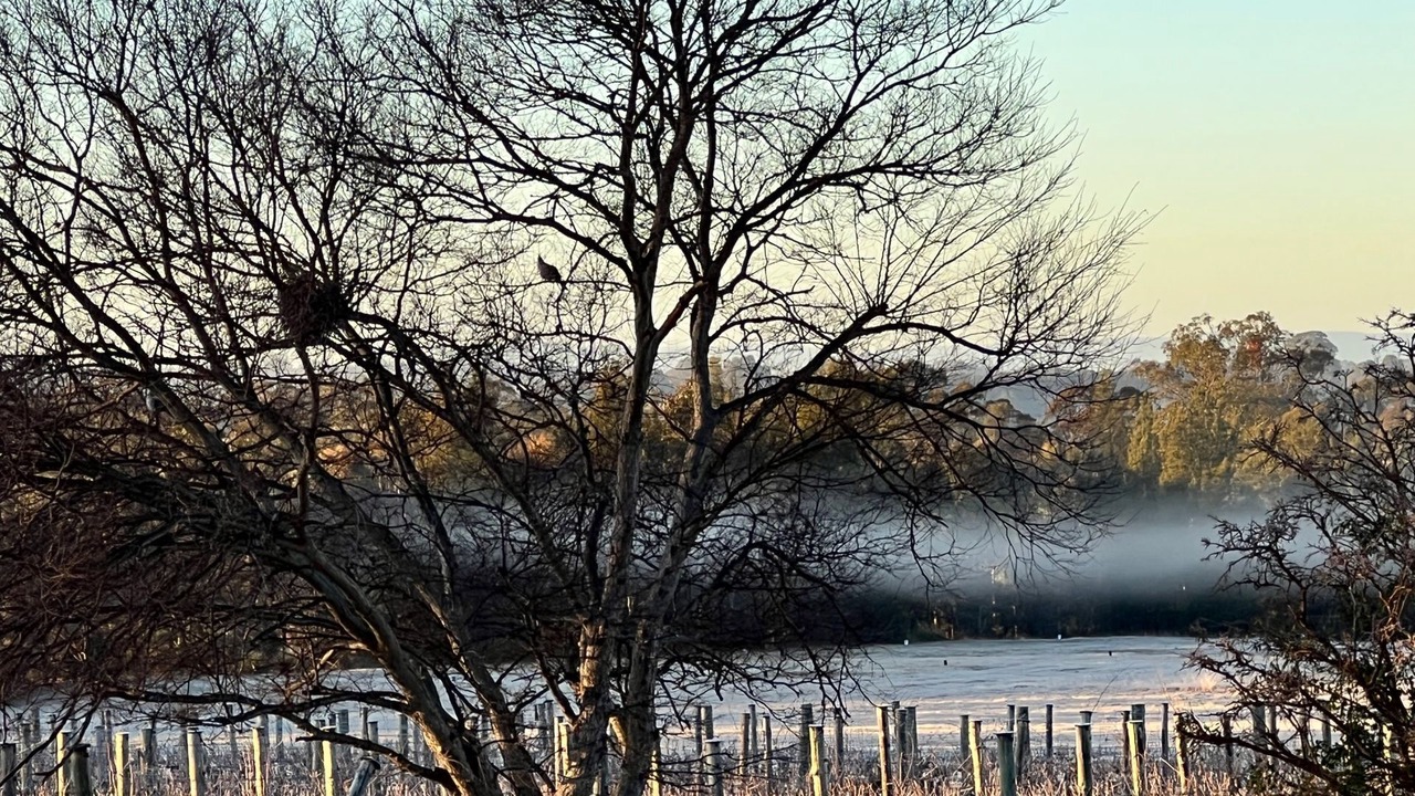 Photo of Outdoor in Rothbury