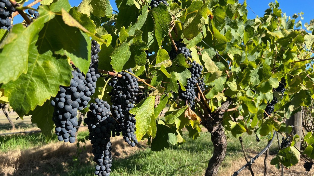 Photo of Others in Rothbury