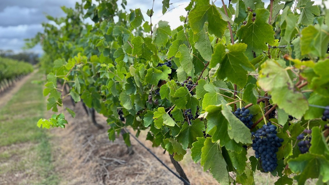 Photo of Outdoor in Rothbury