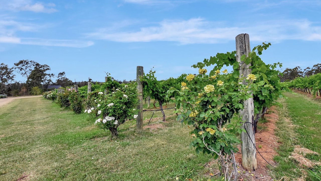 Photo of Outdoor in Rothbury