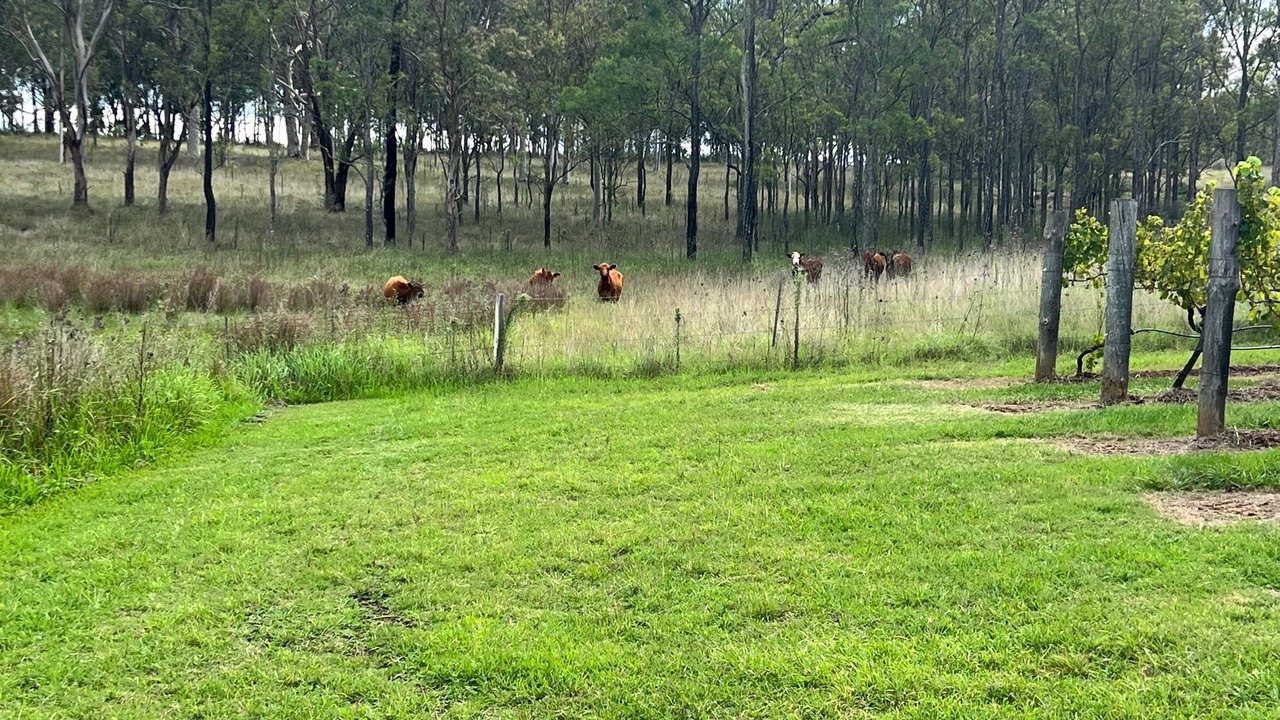 Photo of Outdoor in Rothbury