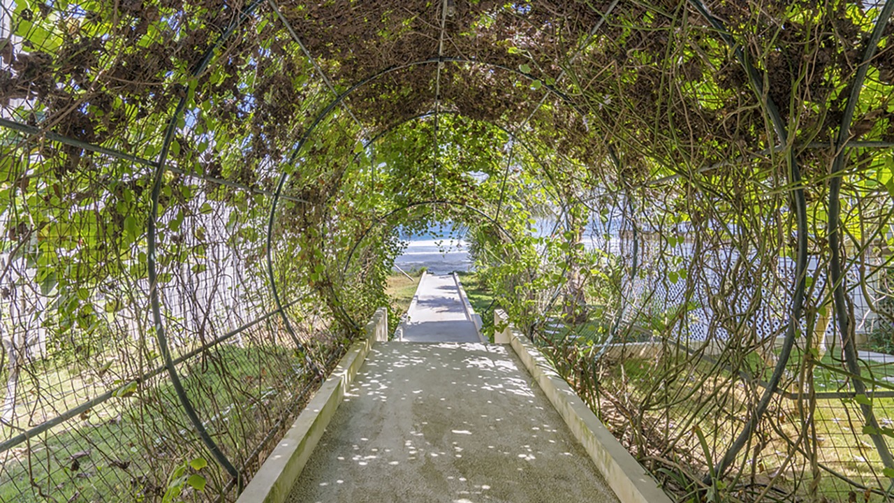 Photo of Outdoor in Ceningan Island