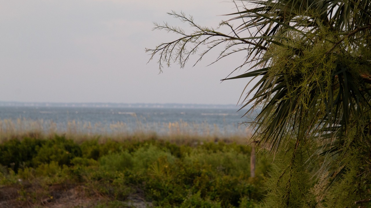 Photo of Others in Oceanmarsh Subdivision