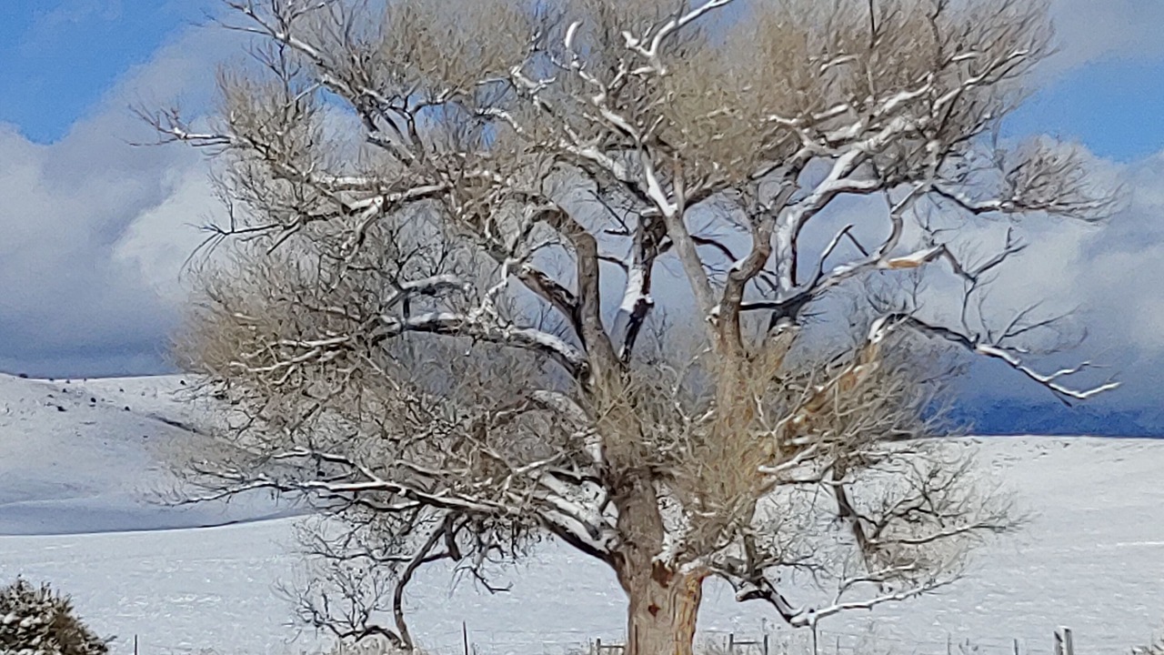 Photo of Outdoor in Mule Creek