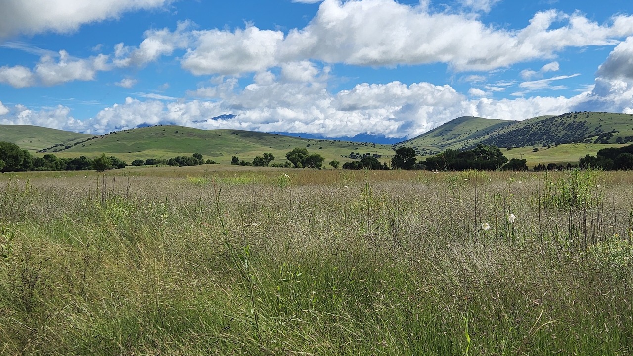 Photo of Others in Mule Creek