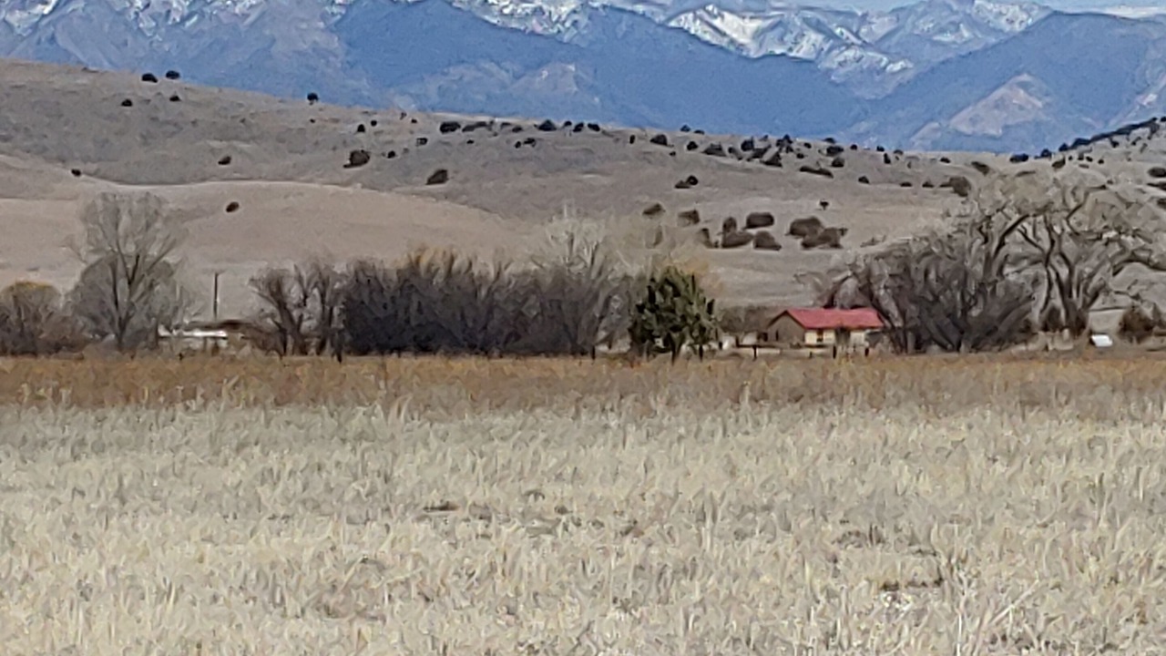 Photo of Others in Mule Creek