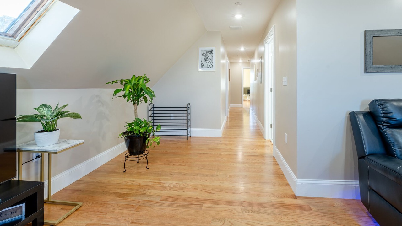 Photo of Others in Dorchester