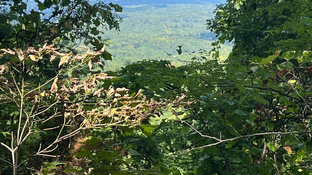 Photo of Outdoor in Seymour