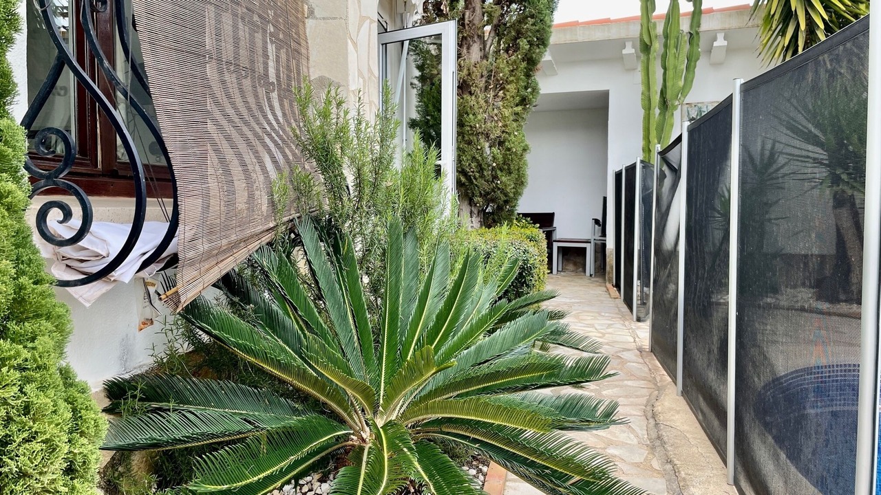 Photo of Outdoor in Oliva