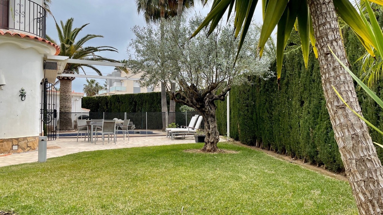 Photo of Outdoor in Oliva