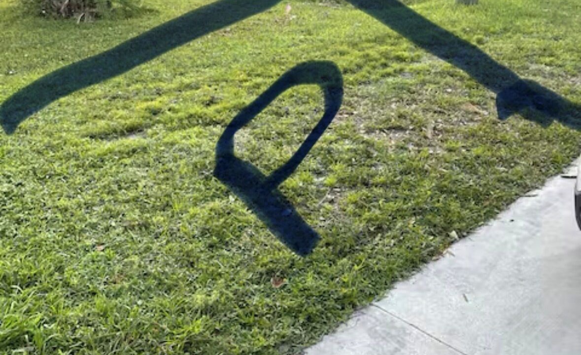 Photo of Outdoor in South Venice