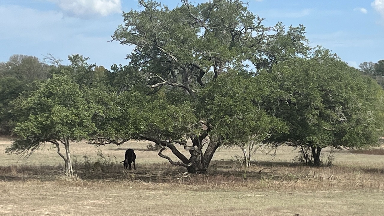 Photo of Others in Ledbetter