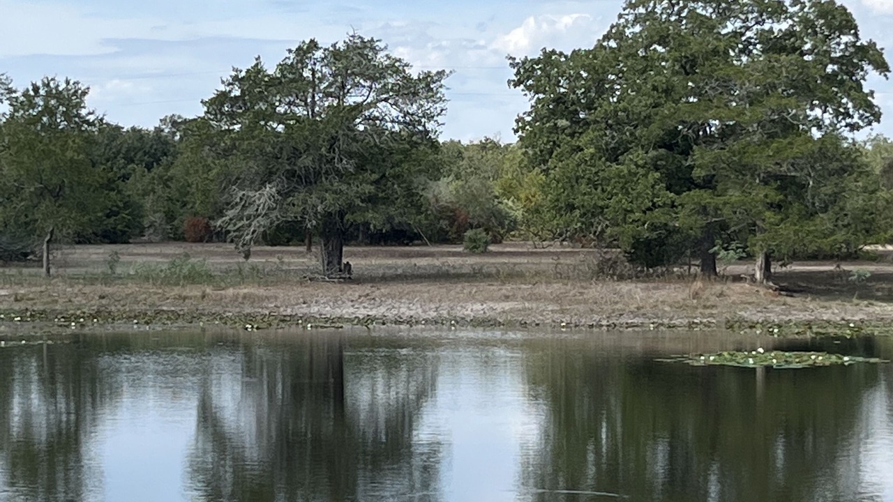 Photo of Others in Ledbetter