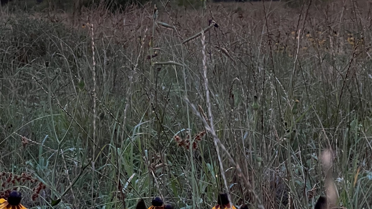 Photo of Others in Ledbetter