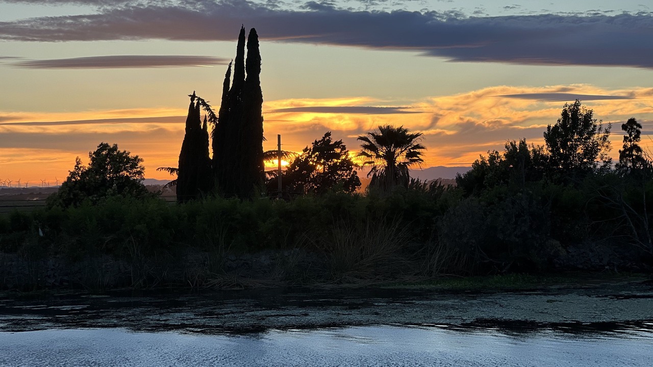 Photo of Outdoor in Isleton