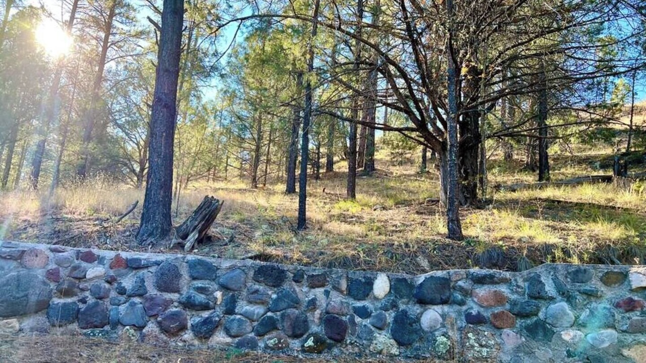 Photo of Outdoor in San Lorenzo