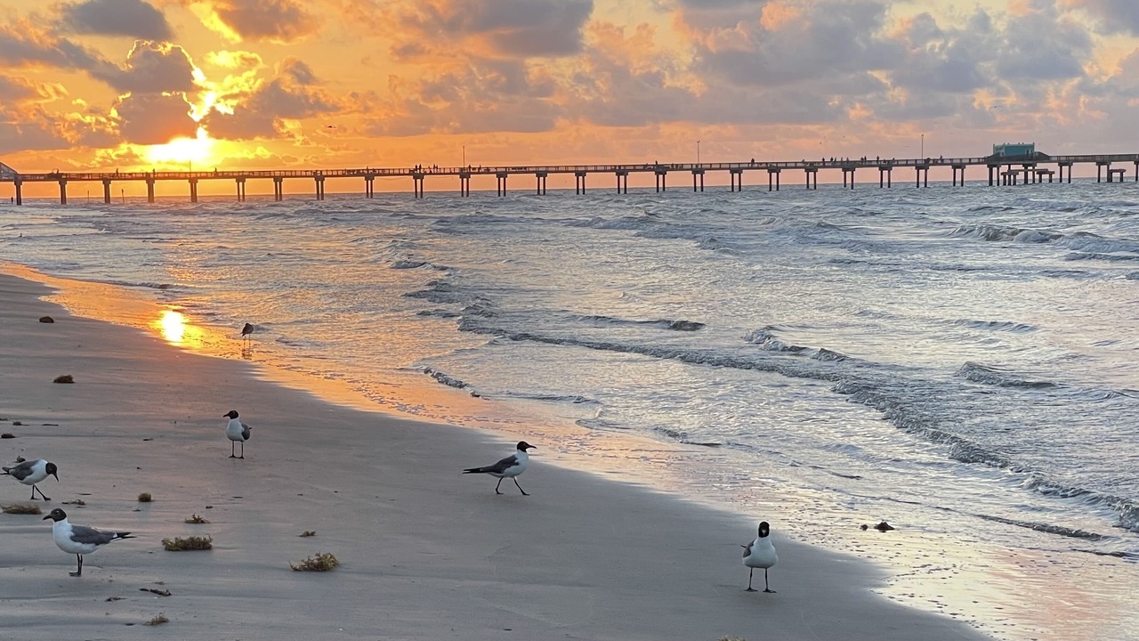 Photo of Others in Galveston