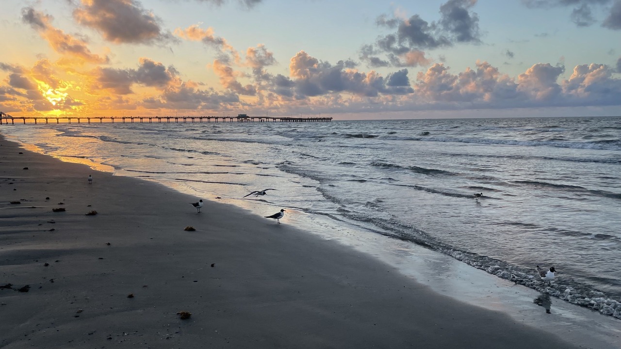 Photo of Others in Galveston