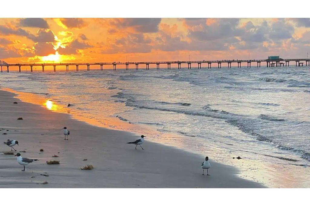 Photo of Others in Galveston