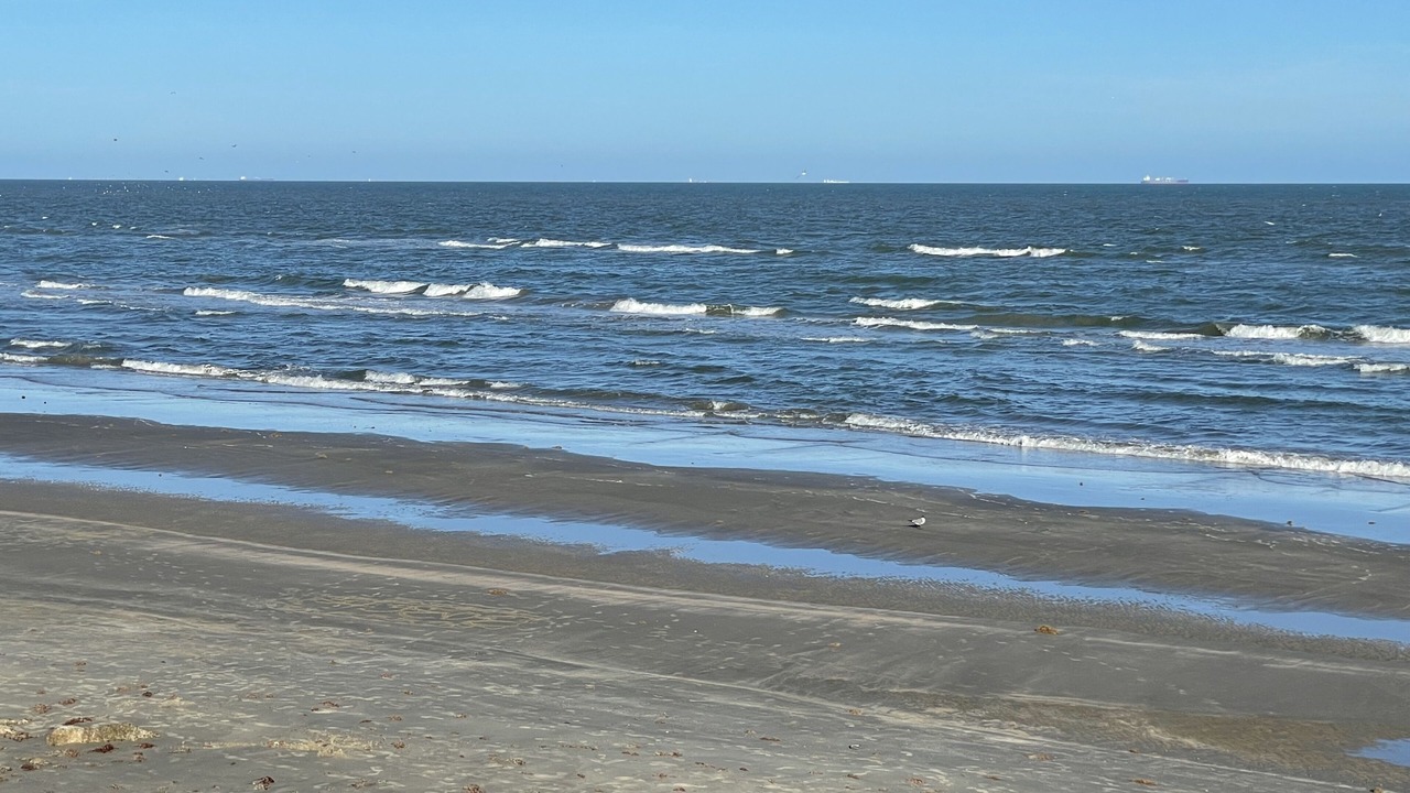 Photo of Others in Galveston